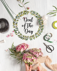 Deal of the Day from Brennan's Secaucus Meadowlands Florist 
