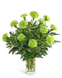One Dozen Green Carnations from Brennan's Secaucus Meadowlands Florist 