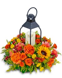 Goldenrod Lantern from Brennan's Secaucus Meadowlands Florist Goldenrod Lantern from Brennan's Secaucus Meadowlands Florist