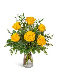 Half Dozen Yellow Roses from Brennan's Secaucus Meadowlands Florist 