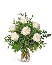 Half Dozen White Roses from Brennan's Secaucus Meadowlands Florist Half Dozen White Roses from Brennan's Secaucus Meadowlands Florist