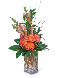 Captivating Coral from Brennan's Secaucus Meadowlands Florist 