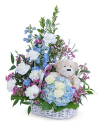 Beary Lovable from Brennan's Secaucus Meadowlands Florist 