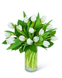 White Tulips from Brennan's Secaucus Meadowlands Florist 