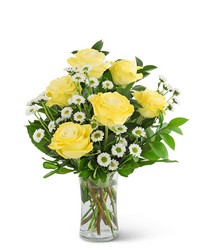 Yellow Roses with Daisies from Brennan's Secaucus Meadowlands Florist 