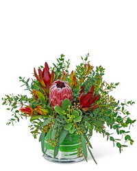 Protea Wilderness from Brennan's Secaucus Meadowlands Florist 