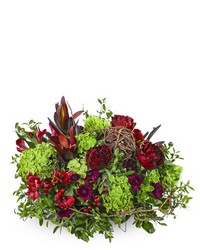Modern Merlot from Brennan's Secaucus Meadowlands Florist 