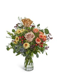 Brindle Bloom from Brennan's Secaucus Meadowlands Florist 