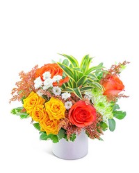 Easy Breezy from Brennan's Secaucus Meadowlands Florist 
