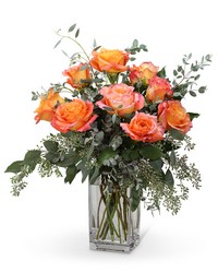 Free Spirit Roses (9) from Brennan's Secaucus Meadowlands Florist 