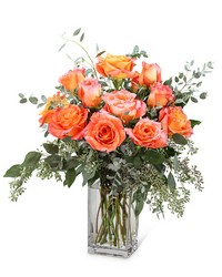 Free Spirit Roses (12) from Brennan's Secaucus Meadowlands Florist 