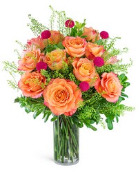 One Dozen Wild and Free Spirit Roses from Brennan's Secaucus Meadowlands Florist 