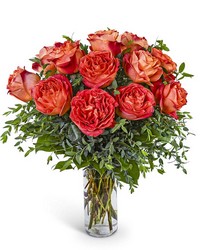 One Dozen Wild Spirit Roses from Brennan's Secaucus Meadowlands Florist One Dozen Wild Spirit Roses from Brennan's Secaucus Meadowlands Florist