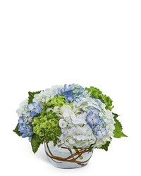 Dreamy Hydrangea from Brennan's Secaucus Meadowlands Florist 