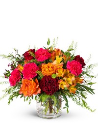 Sienna Garden from Brennan's Secaucus Meadowlands Florist Sienna Garden from Brennan's Secaucus Meadowlands Florist