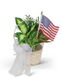 Patriotic Planter from Brennan's Secaucus Meadowlands Florist 