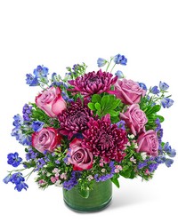 Ultraviolet Dream from Brennan's Secaucus Meadowlands Florist 