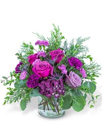 Nordic Magenta from Brennan's Secaucus Meadowlands Florist 