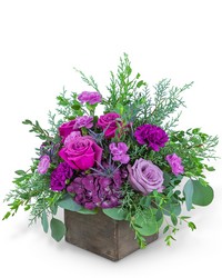 Violet's Song from Brennan's Secaucus Meadowlands Florist 