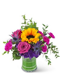 Sunny Blooms from Brennan's Secaucus Meadowlands Florist 