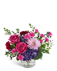 Magenta Muse from Brennan's Secaucus Meadowlands Florist 