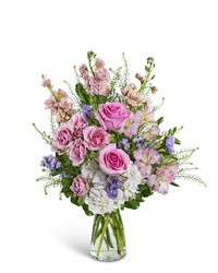 Cotton Candy Sweetie from Brennan's Secaucus Meadowlands Florist 