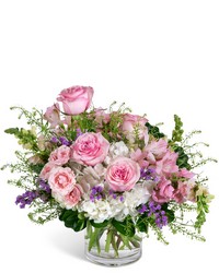Sweet Cloud Haze from Brennan's Secaucus Meadowlands Florist Sweet Cloud Haze from Brennan's Secaucus Meadowlands Florist