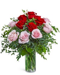 One Dozen Perfect Pink and Red Roses from Brennan's Secaucus Meadowlands Florist 