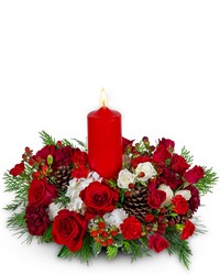 Hearthwood Glow from Brennan's Secaucus Meadowlands Florist 