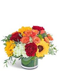 Sunset in Savannah from Brennan's Secaucus Meadowlands Florist 