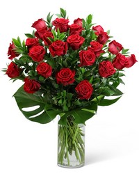 Red Roses with Modern Foliage (24) from Brennan's Secaucus Meadowlands Florist 