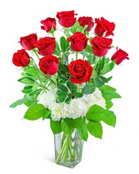One Dozen Red Roses with Hydrangea from Brennan's Secaucus Meadowlands Florist 