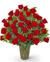 Three Dozen Elegant Red Roses from Brennan's Secaucus Meadowlands Florist 