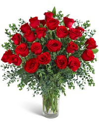 Two Dozen Red Hot Roses from Brennan's Secaucus Meadowlands Florist 