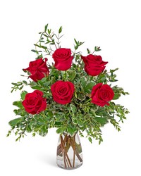 Half Dozen Red Roses from Brennan's Secaucus Meadowlands Florist 