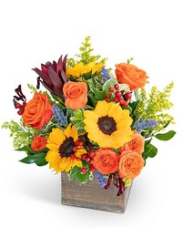 Rosewood Canyon  from Brennan's Secaucus Meadowlands Florist 