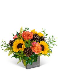 Harvest Sunburst Harmony from Brennan's Secaucus Meadowlands Florist 