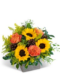 Woodland Sunshine from Brennan's Secaucus Meadowlands Florist 