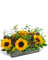 Rustic Fields in Autumn from Brennan's Secaucus Meadowlands Florist 