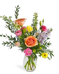 Sunlite for Mom from Brennan's Secaucus Meadowlands Florist 