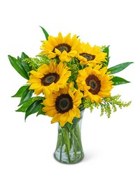 Sprinkle of Sunflowers from Brennan's Secaucus Meadowlands Florist 