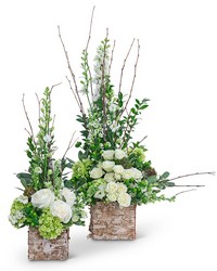 Grace and Elegance from Brennan's Secaucus Meadowlands Florist 