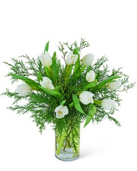Winter White Tulips from Brennan's Secaucus Meadowlands Florist 