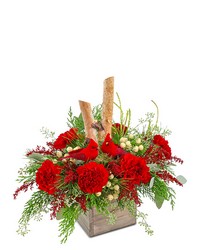 Woodland Cardinal Cheer from Brennan's Secaucus Meadowlands Florist 