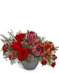 Noir Noel from Brennan's Secaucus Meadowlands Florist  Noir Noel from Brennan's Secaucus Meadowlands Florist