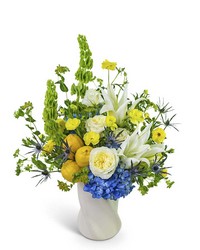 Luna Citrus from Brennan's Secaucus Meadowlands Florist 