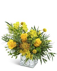 Zesty Twist from Brennan's Secaucus Meadowlands Florist 
